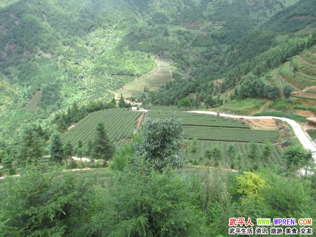 漳州平和下村村总人口_漳州平和图片